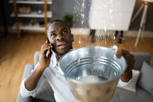  Vineland, NJ Water damage restoration Pros