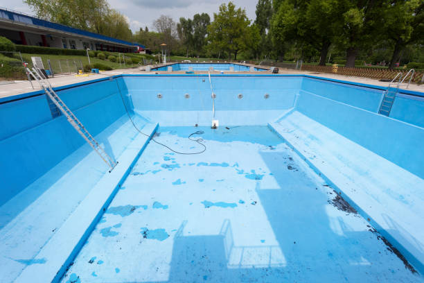 Best Mold removal after water damage  in Vineland, NJ