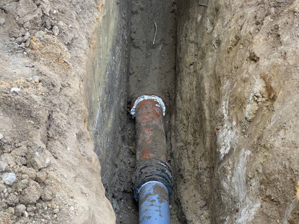 Best Local water damage restoration  in Vineland, NJ