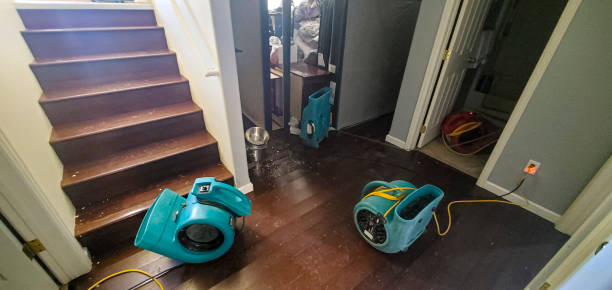 Best Residential water damage restoration  in Vineland, NJ