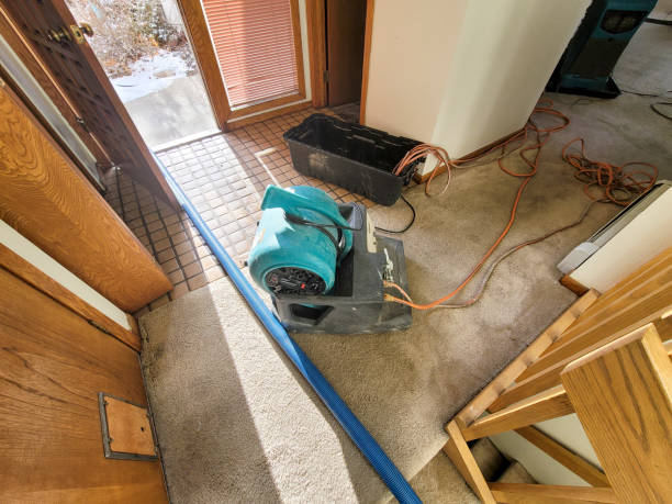 Best Ceiling water damage repair  in Vineland, NJ