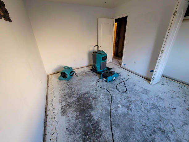 Best Emergency water extraction  in Vineland, NJ