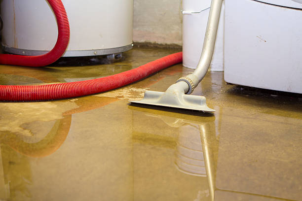 Best Sewage cleanup and water damage restoration  in Vineland, NJ
