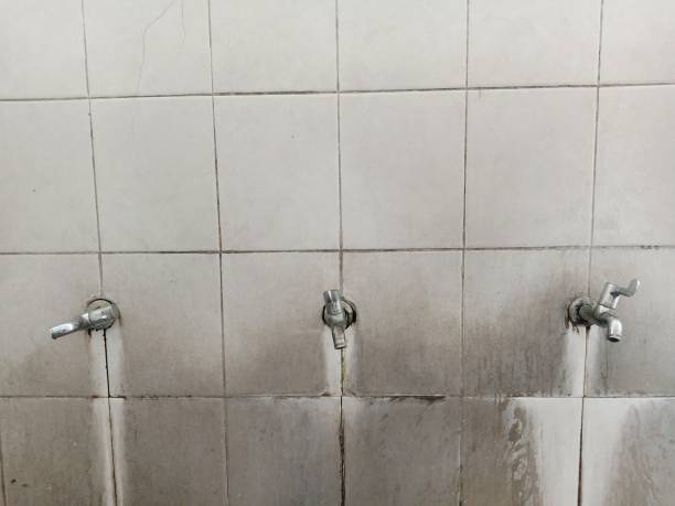 Best Water damage contractors near me  in Vineland, NJ