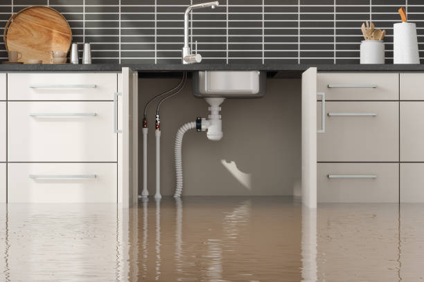 Best 24-hour water damage restoration  in Vineland, NJ