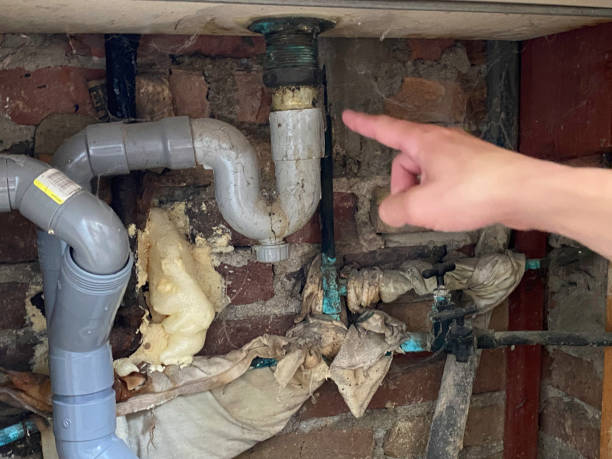 Best Basement water damage restoration  in Vineland, NJ