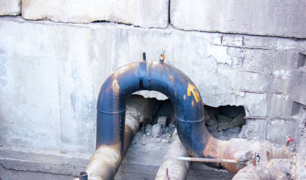 Best Carpet water damage restoration  in Vineland, NJ
