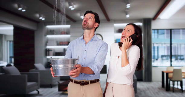 Best Water damage restoration near me  in Vineland, NJ