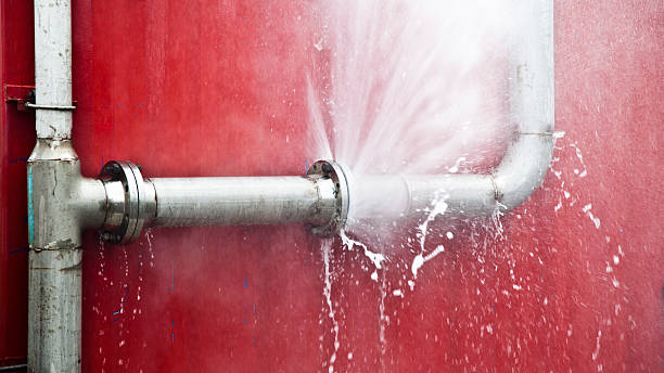 Best Water damage restoration company  in Vineland, NJ